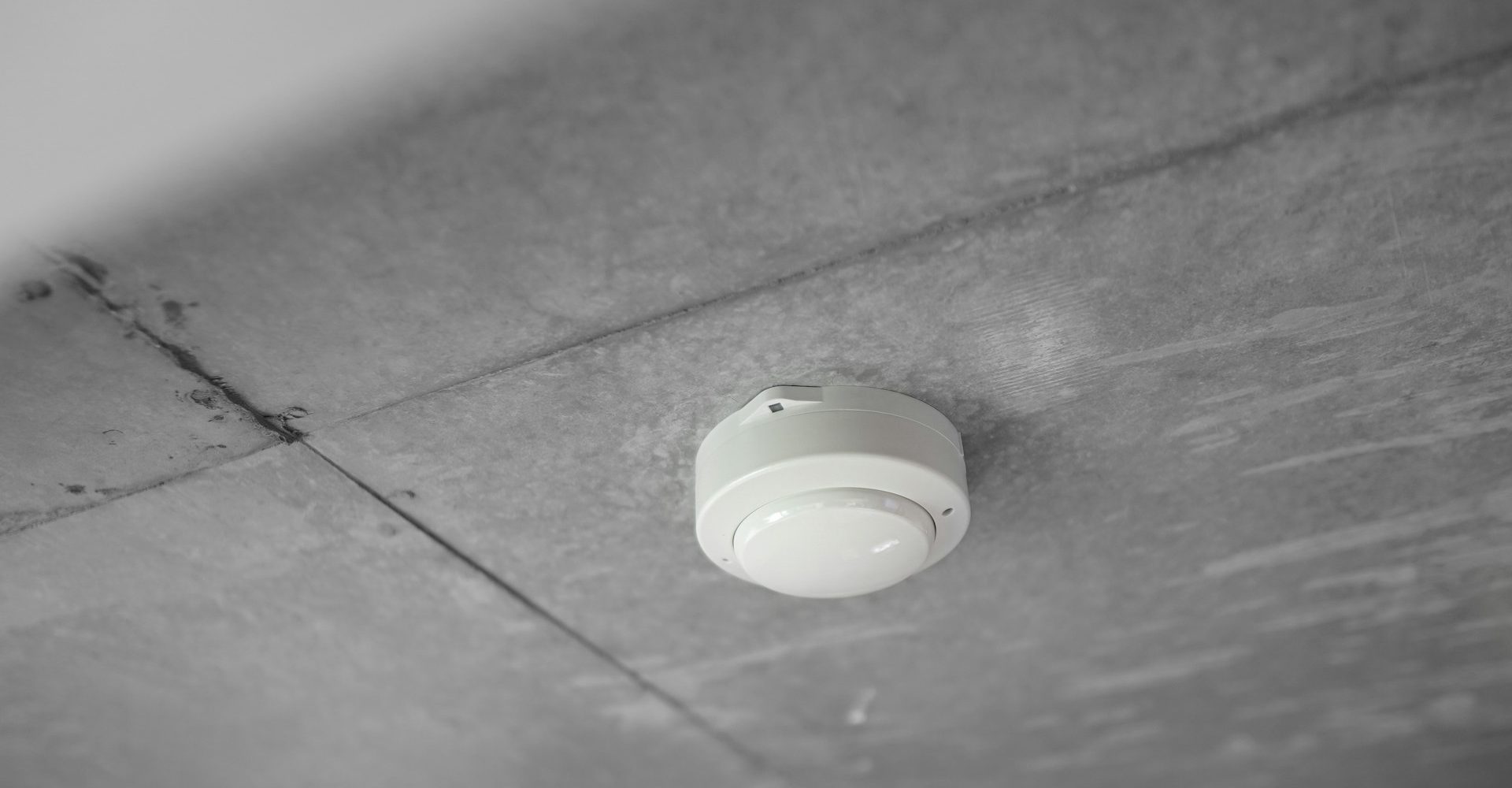 yosuke-ota-2uyCMNGYhnM-unsplash